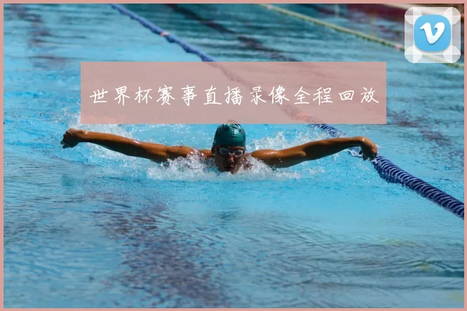 世界杯赛事直播录像全程回放