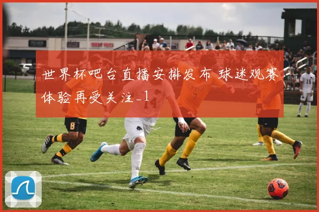 世界杯吧台直播安排发布 球迷观赛体验再受关注_1