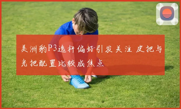 美洲豹P3选杆偏好引发关注 皮把与光把配置比较成焦点