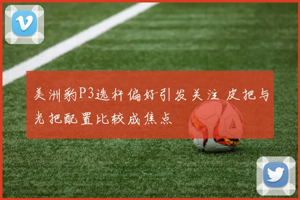 美洲豹P3选杆偏好引发关注 皮把与光把配置比较成焦点