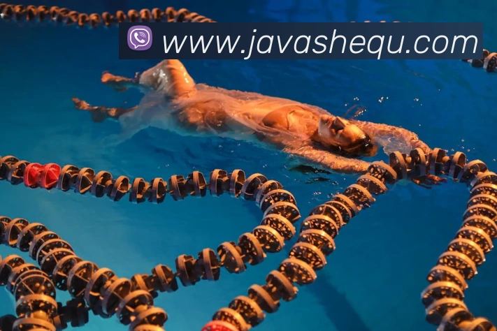 世界杯开户平台平台生态图